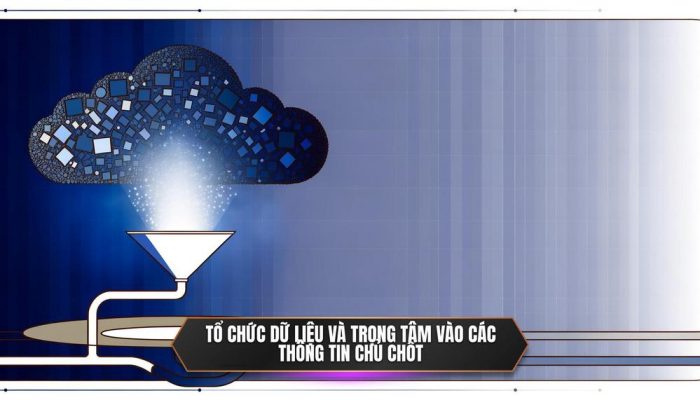 Tổ chức dữ liệu và trọng tâm vào các thông tin chủ chốt